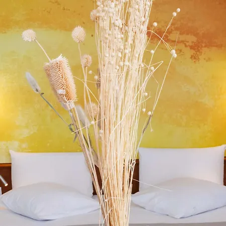 Mercure Centre Cathedrale מלון 4*